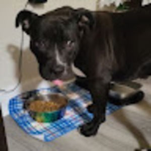 Meet your Posher, Misti